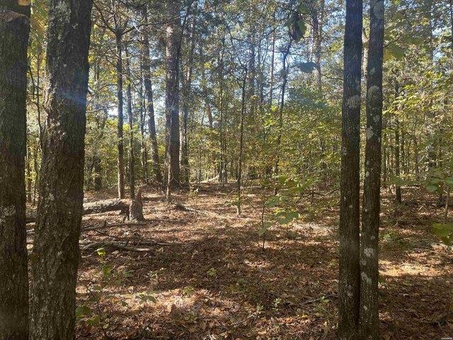 Land for sale in Ark