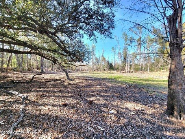 Land for sale in Sneads, Florida