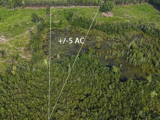 Land for sale in Bennettsville, South Carolina