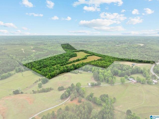 Land for sale in Maplesville, Alabama