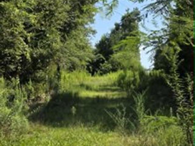 Land for sale in Hanceville, Alabama