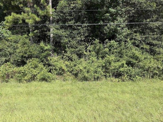 Land for sale in Spurger, Texas