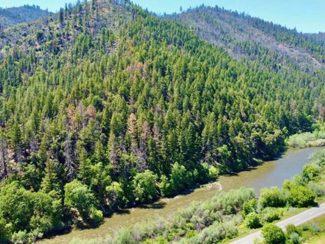 Land for sale in Horse Creek, California