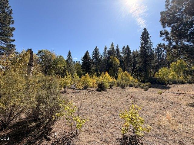 Land for sale in Chiloquin, Klamath County