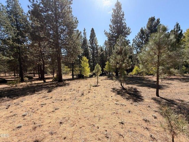 Land for sale in Chiloquin, Klamath County