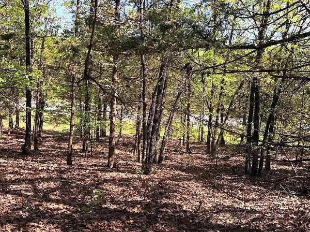 Land for sale in Ark