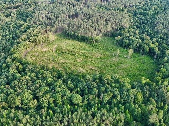 Land for sale in Bruce, Mississippi
