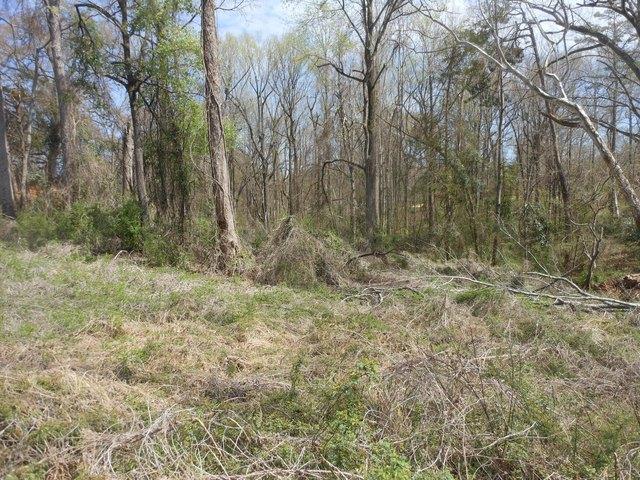 Land for sale in Pontotoc, Mississippi