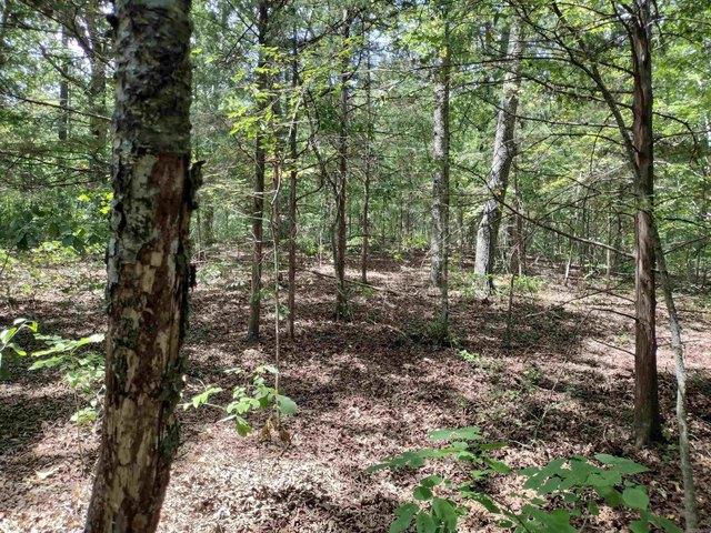 Land for sale in Ark