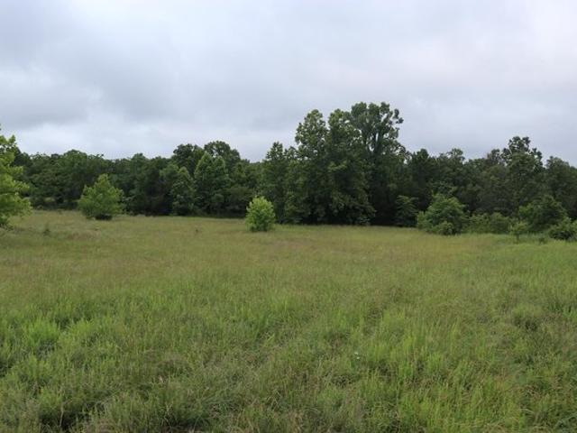 Farm for sale in Ark