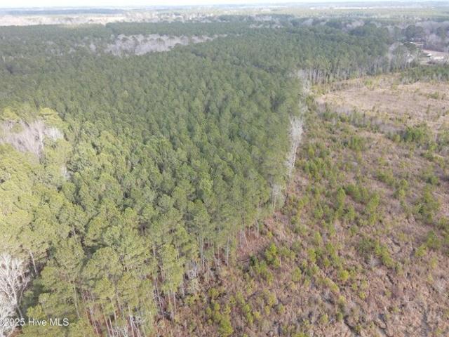 Land for sale in Ahoskie