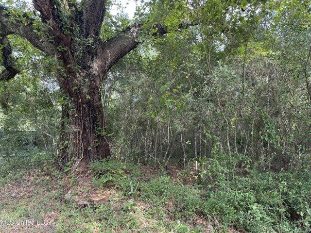 Land for sale in Pearlington