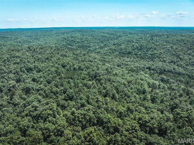 Farm for sale in Reynolds, Missouri