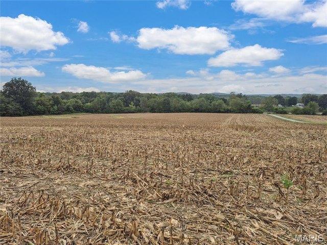 Farm for sale in Elsberry, Lincoln County