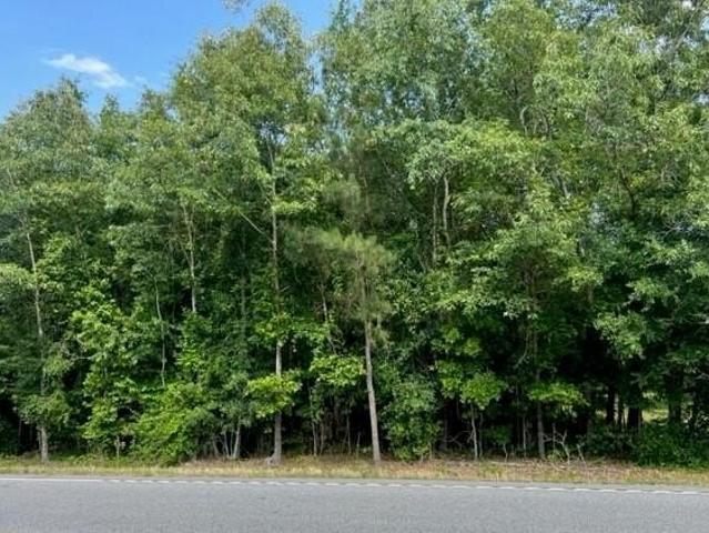 Land for sale in Barnwell