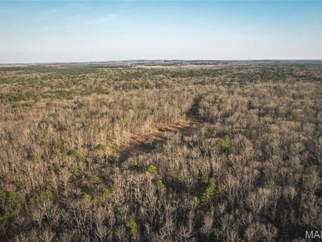 Farm for sale in Licking, Missouri