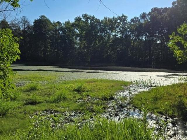Land for sale in Brookhaven