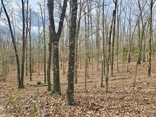 Land for sale in Licking, Missouri