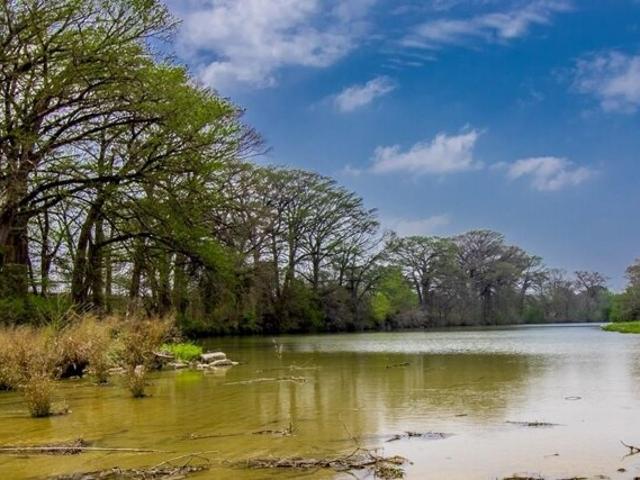 Land for sale in Center Point, Texas