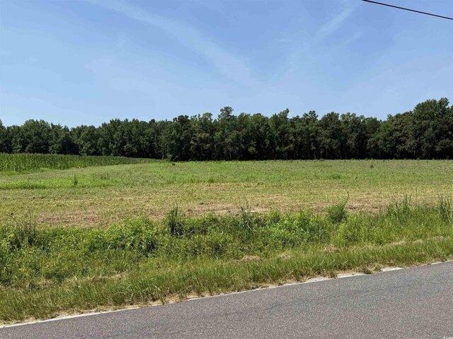 Land for sale in Conway Land for sale in Conway