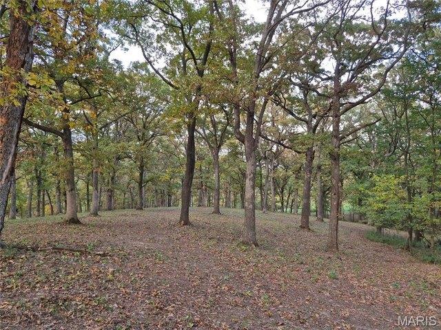 Land for sale in Eolia, Pike County