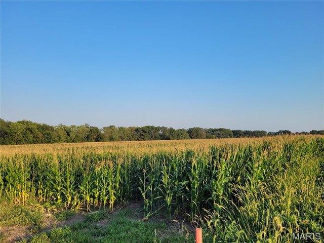 Farm for sale in Bellflower, Missouri