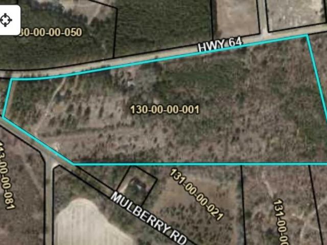 Land for sale in Barnwell