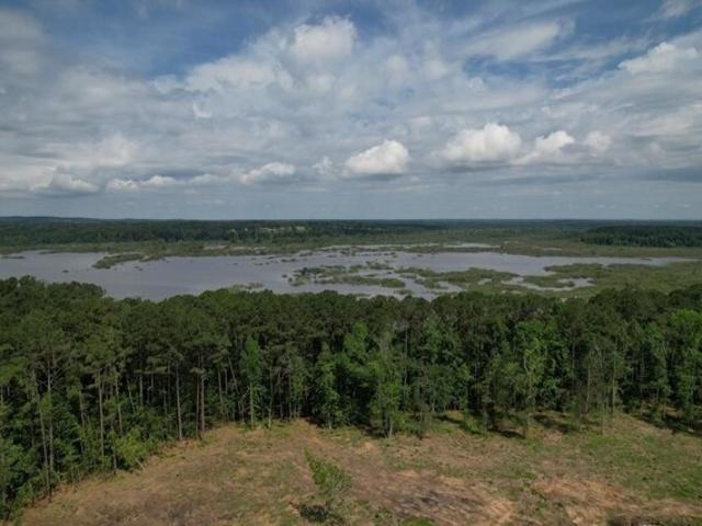 Land for sale in Broaddus, Texas