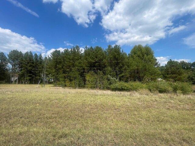 Land for sale in Ethelsville