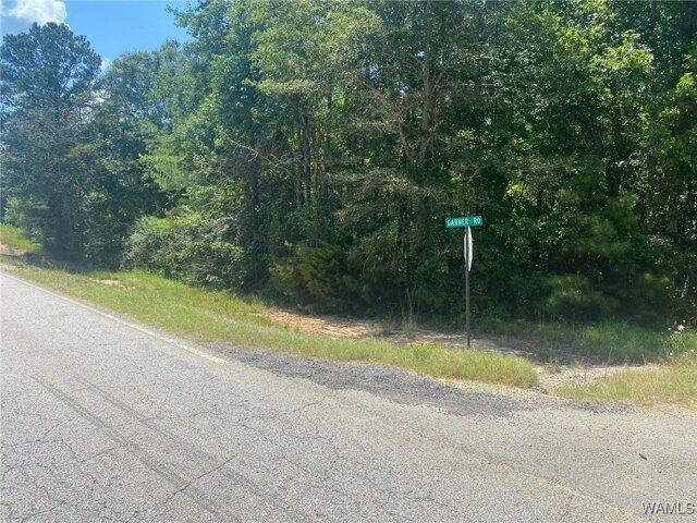 Land for sale in Fayette