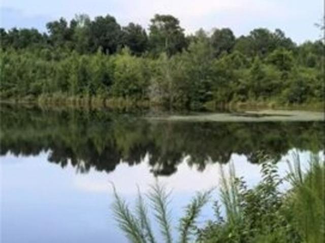 Land for sale in Greensboro