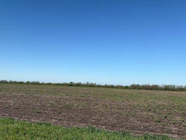 Land for sale in Hughesville, Missouri