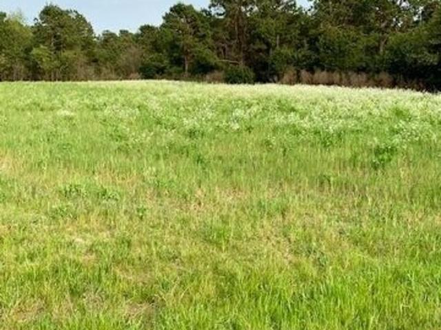 Land for sale in Hephzibah Land for sale in Hephzibah