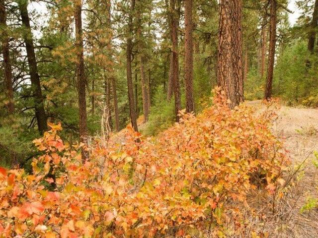 Land for sale in Idaho City, Idaho