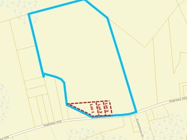 Land for sale in Nichols, South Carolina