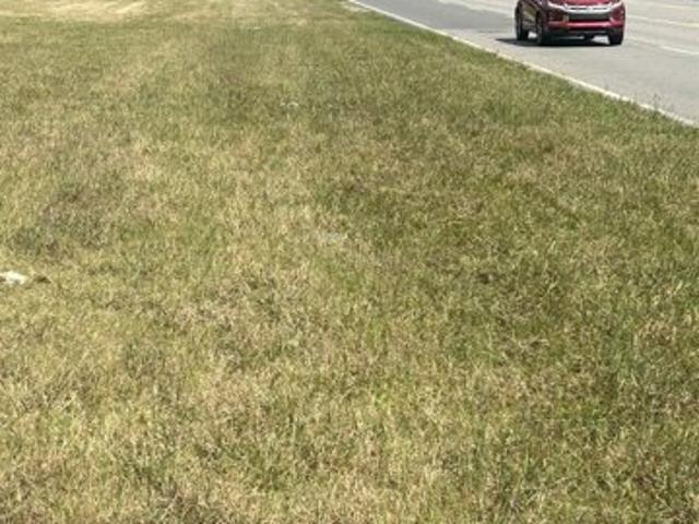 Land for sale in Guntersville