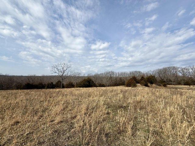 Land for sale in Cabool, Missouri
