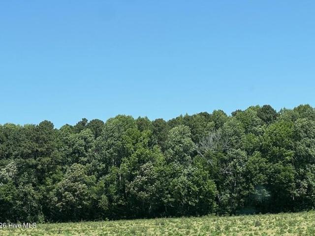 Land for sale in Camden, North Carolina