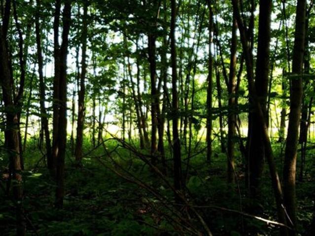 Land for sale in Sherwood