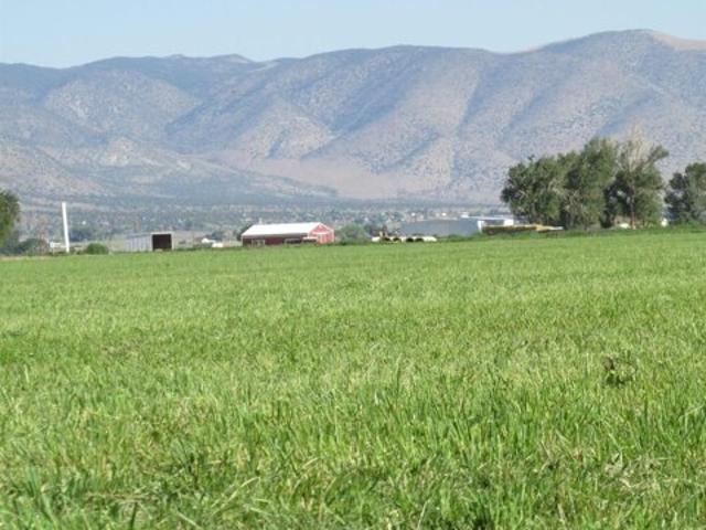 Land for sale in Smith