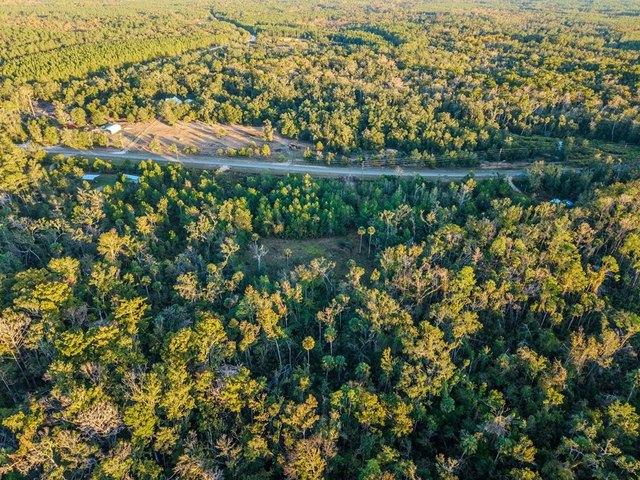 Land for sale in Steinhatchee, Florida