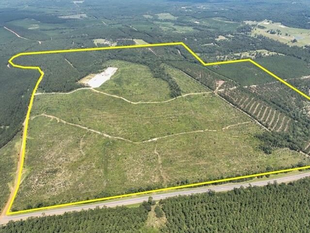 Land for sale in Village Mills, Texas