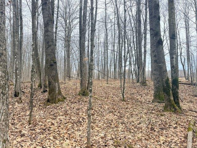 Land for sale in Glen Flora, Wisconsin