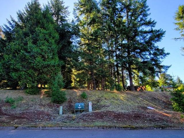 Land for sale in Oakridge, Lane County