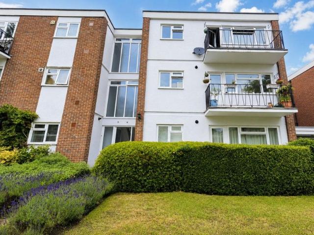 Apartment for rent in Charlotteville, Westborough