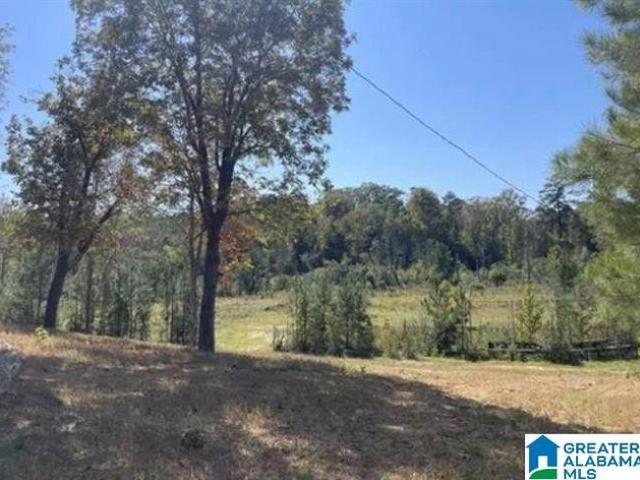 Land for sale in West Blocton, Alabama