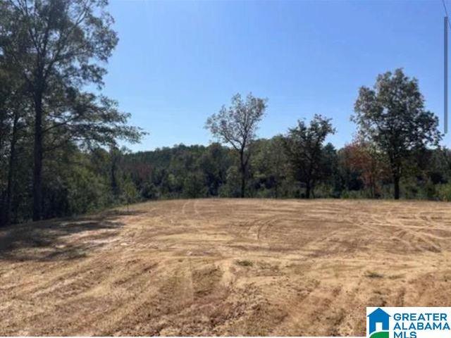 Land for sale in West Blocton, Alabama