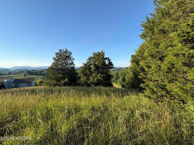 Land for sale in Tennessee