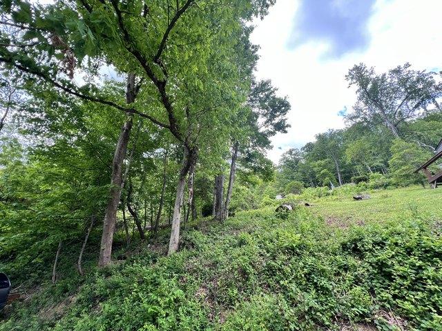 Land for sale in Gauley Bridge, Fayette County