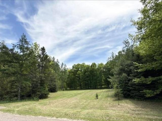 Land for sale in Birnamwood, Wisconsin